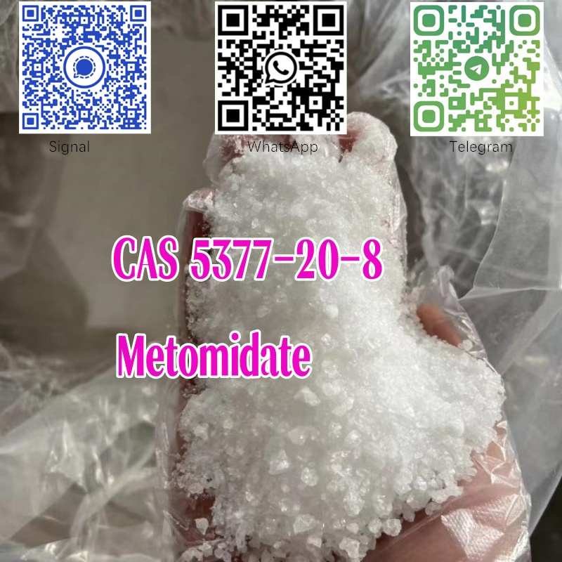 Metomidate C13H14N2O2 CAS 5377-20-8 with Best Price